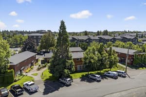 Community aerial video tour of Lincoln Court Townhomes, 230 Lincoln Street, Fairview, Oregon 97024