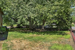 Exterior with lush trees, green lawn at Lincoln Court Townhomes, 230 Lincoln Street, Fairview, Oregon 97024